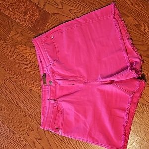 Judy Blue shorts 2xl hot pink